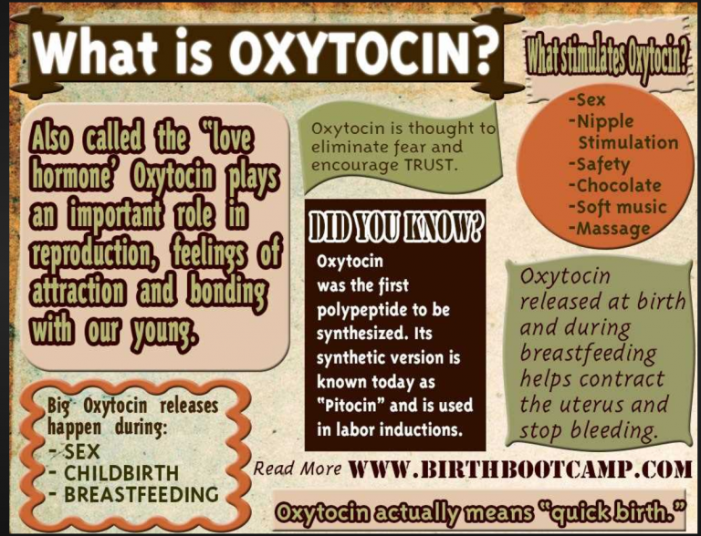 Oxytocin – Feel the LOVE! | Passion In Education