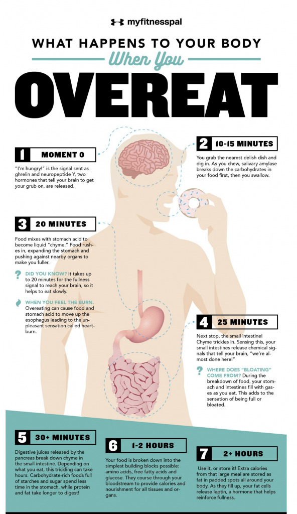 what-happens-when-you-overeat-passion-in-education